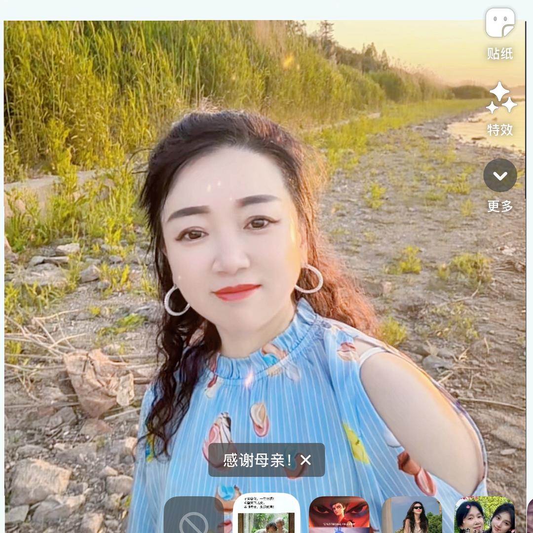 茶叶西施