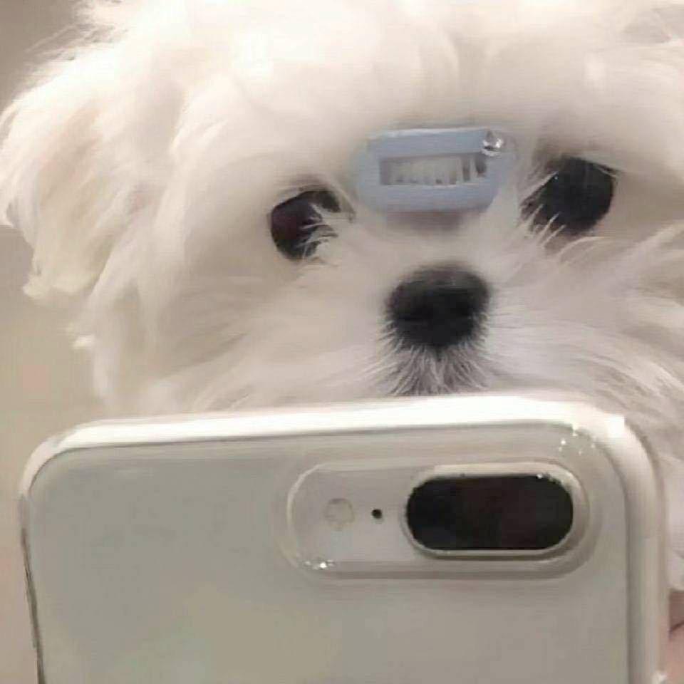 无敌西伯利亚泰坦龙