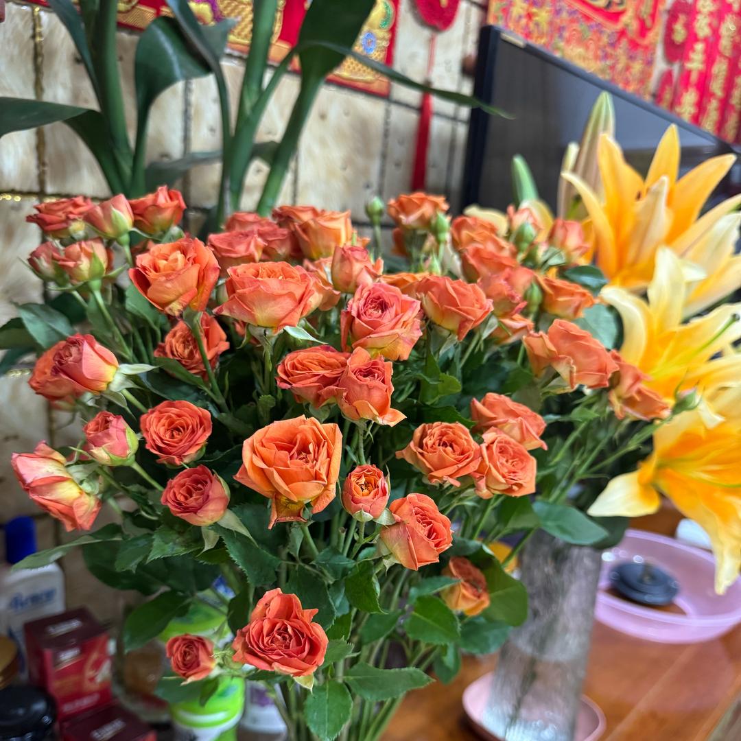 大小姐威尼斯