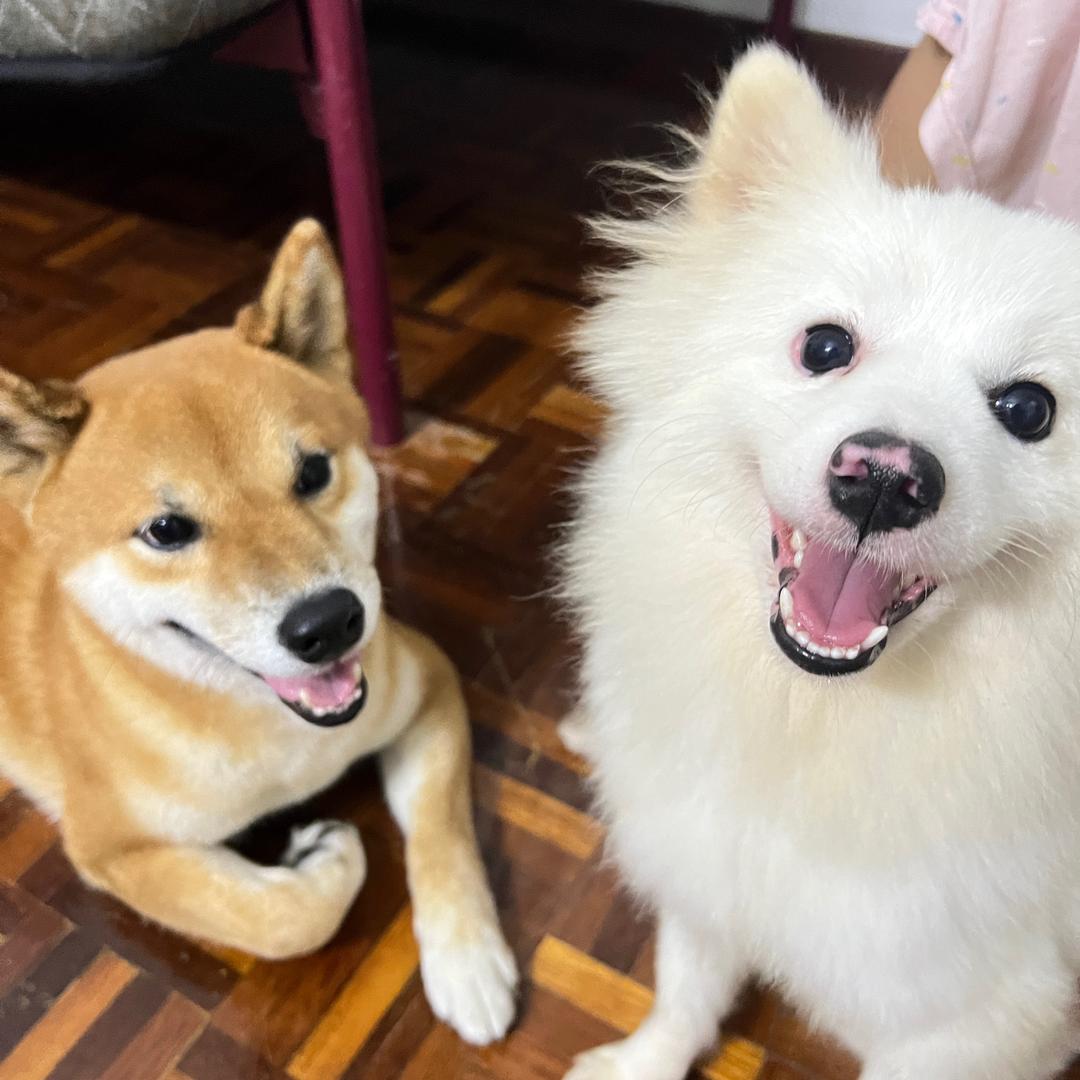 斯年的暖¹²¹⁸