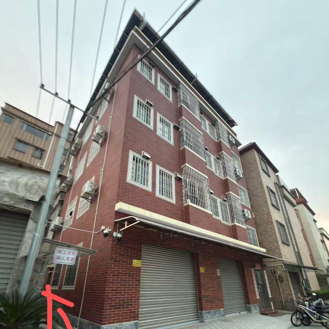 李小姐（互）