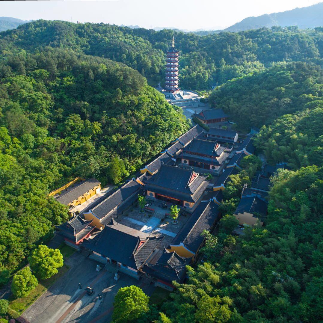 棲光掠影