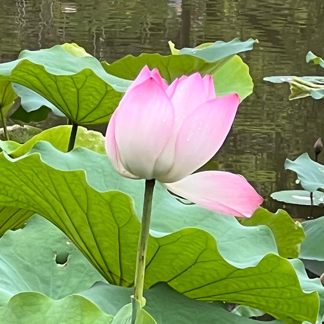 嘟🦋💞嘟🦋酱