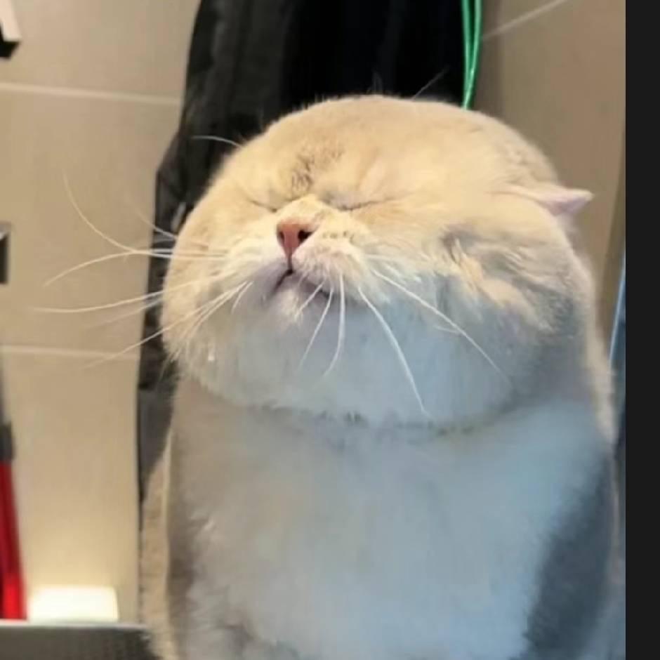 向日葵🌻🌻
