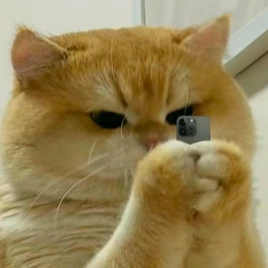 ㅤㅤㅤㅤㅤ