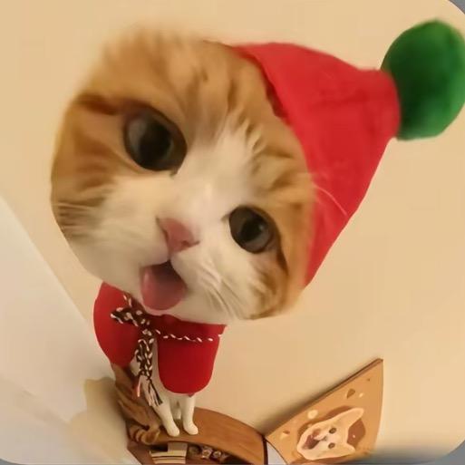 小小猫