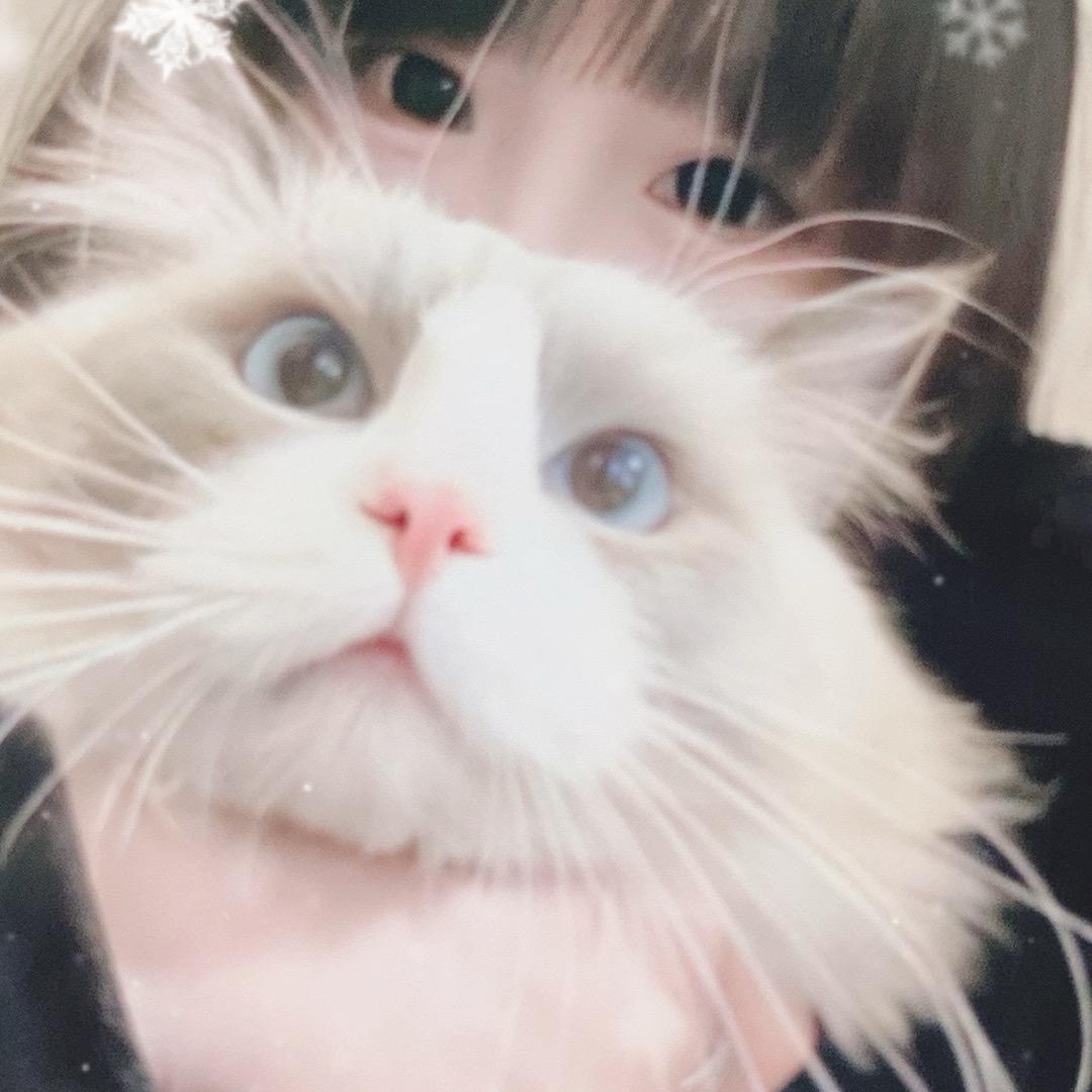 ；