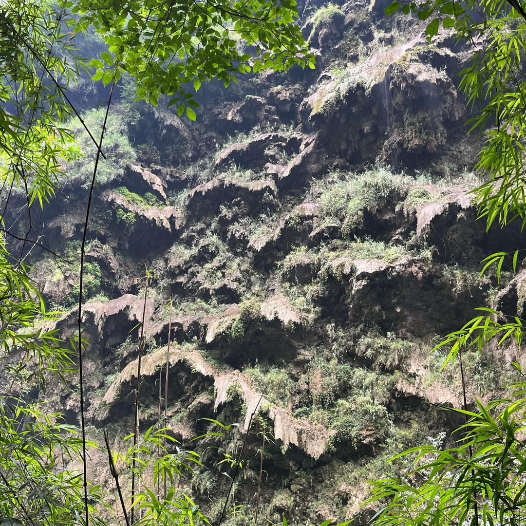 大营坡车神