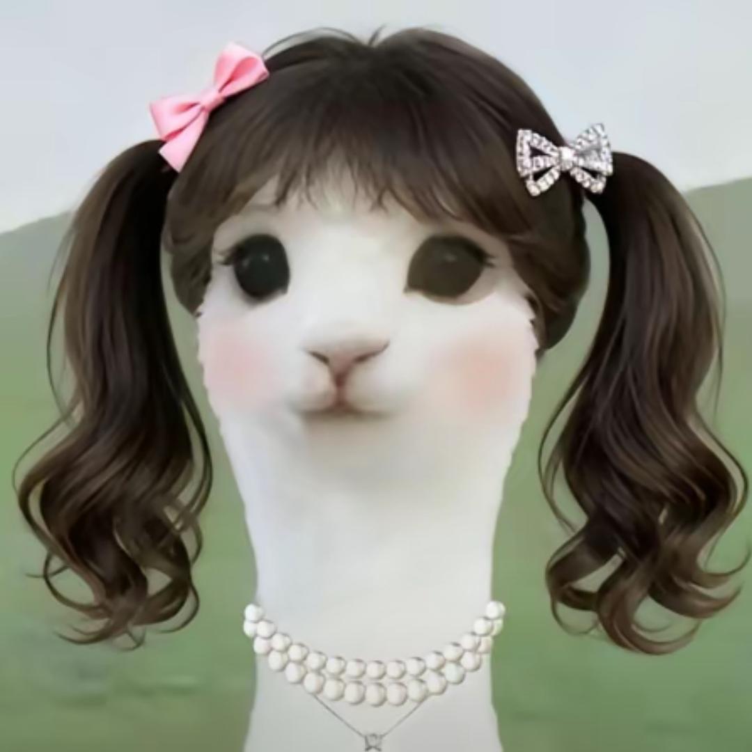 呼呼