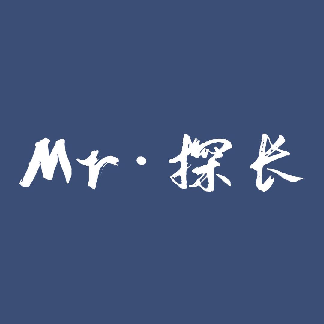 Mr·探长