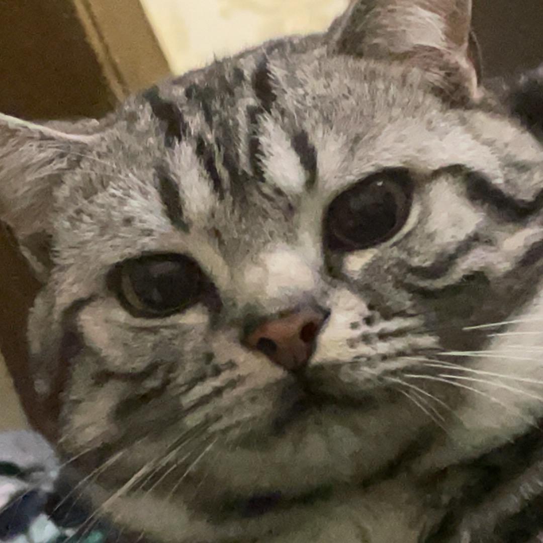 普普通通一卖家电的