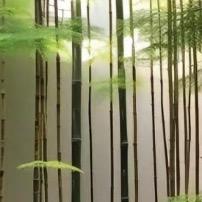 老西去户外野