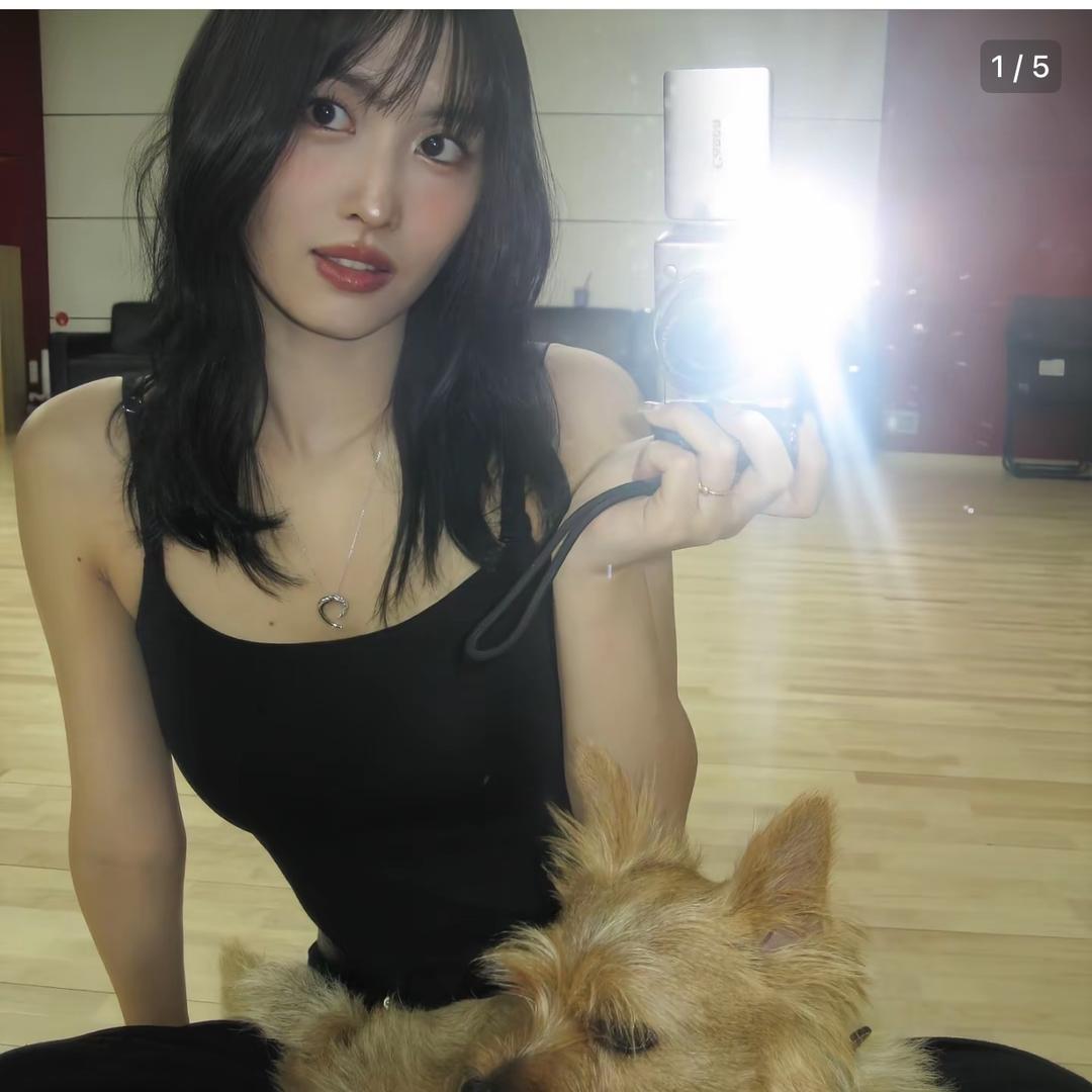 Twice编外人员