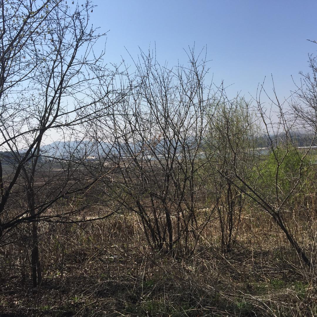 方门府《龙凤堂》