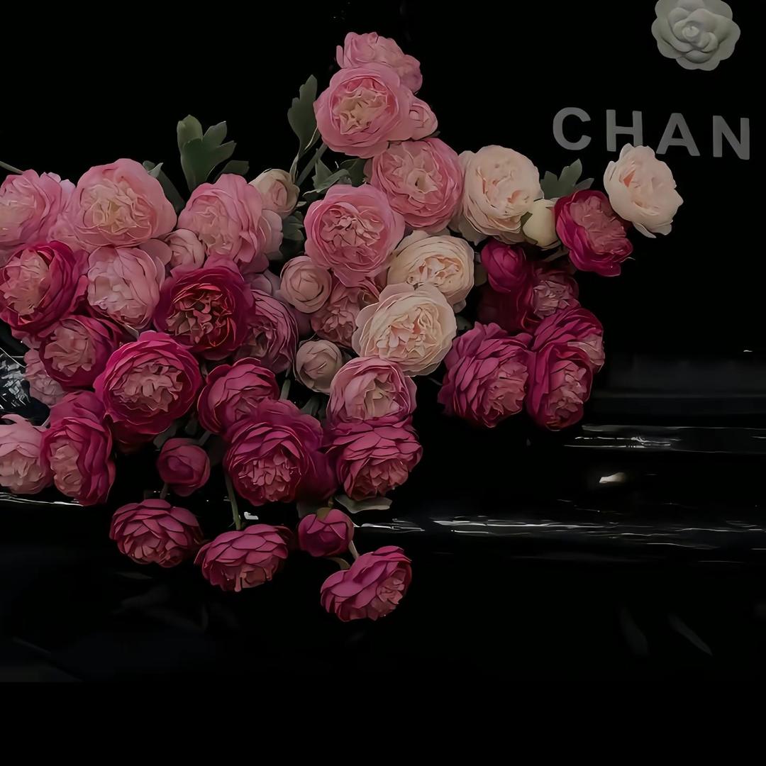 V恩恩,顺风顺水,八方来财