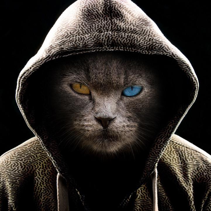 这仅仅只是个童话