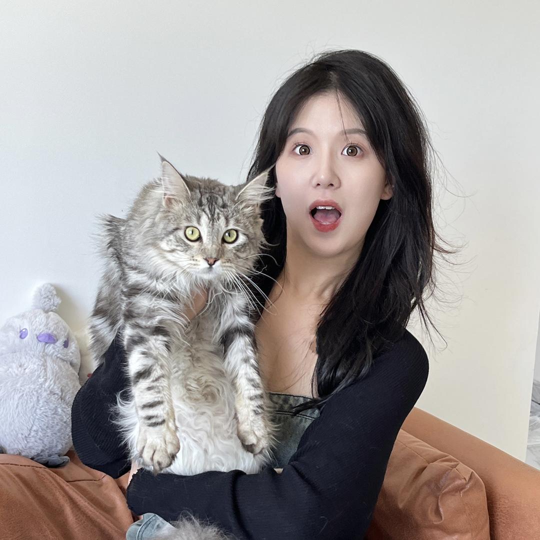 西西猫儿