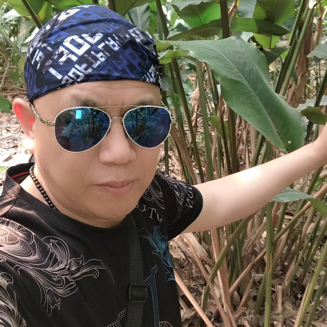 心不动，则不痛【侯哥】