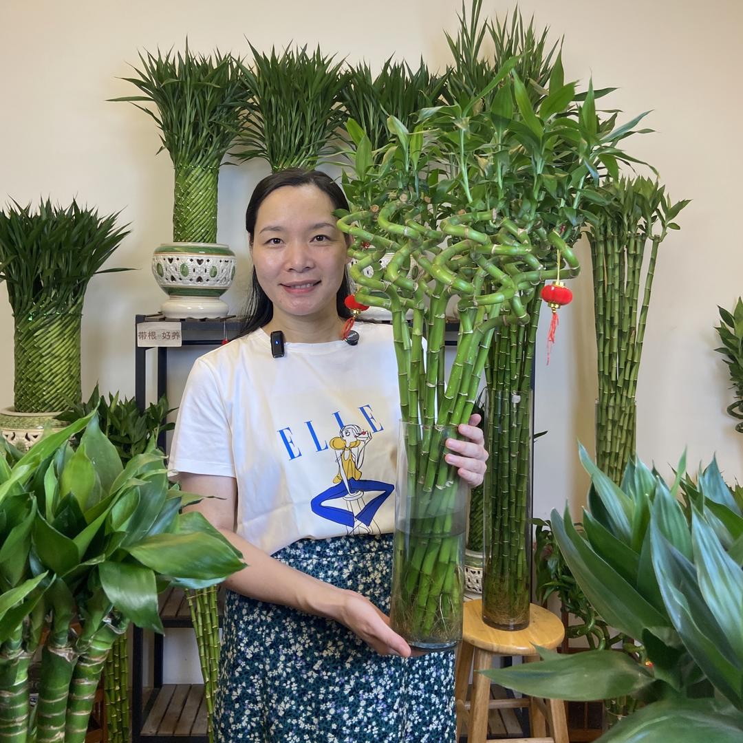 花梵菲官方旗舰店