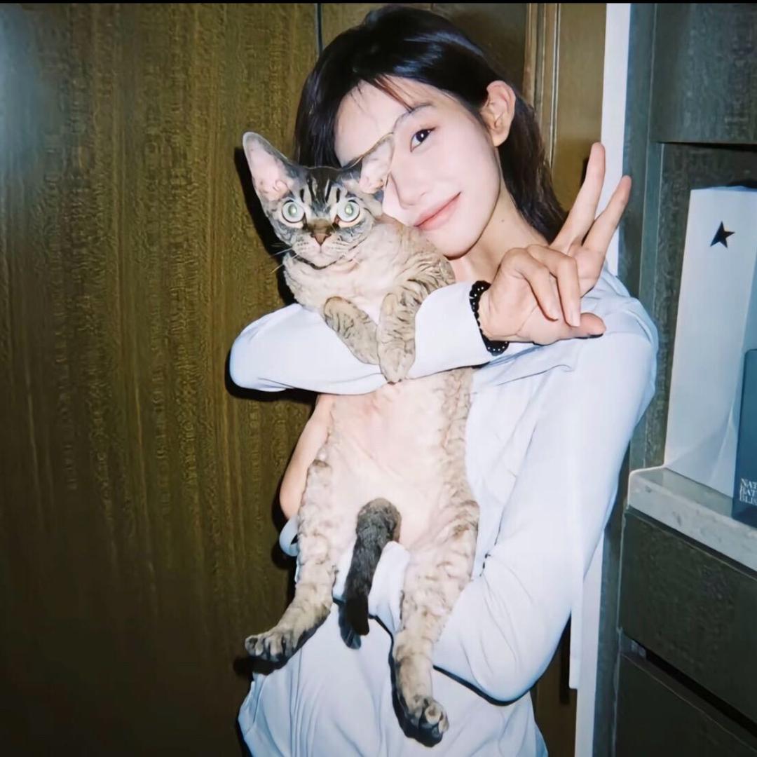 ㅤㅤ迟早