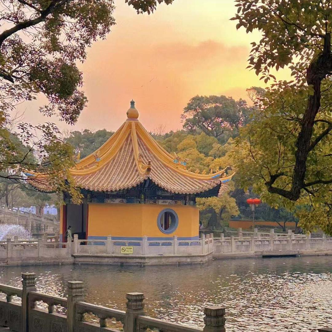 ᥫᦱᐝ柿柿🌻⃟⸜如意ཀོ࿐