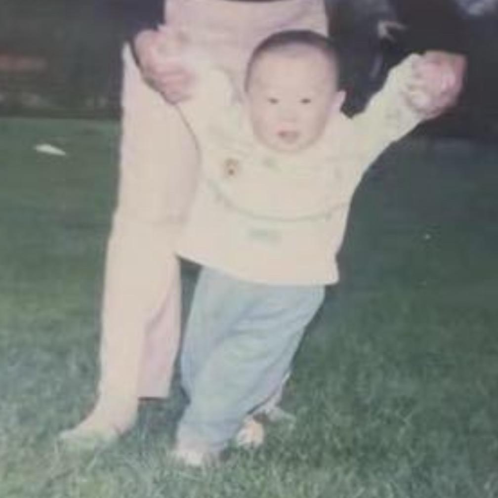 领羊🐳