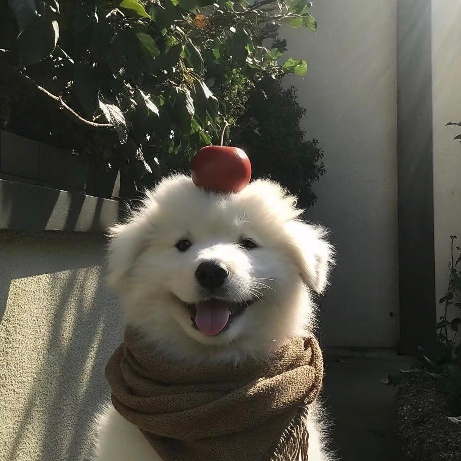 𝓬𝓪𝓶𝓮𝓵𝓵𝓲𝓪.