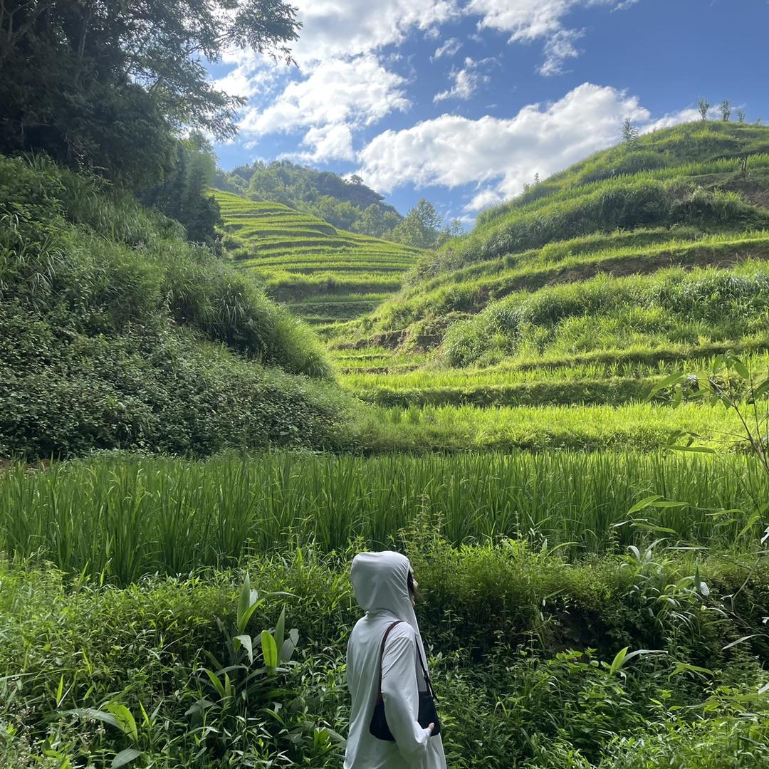 白圭文玩儿
