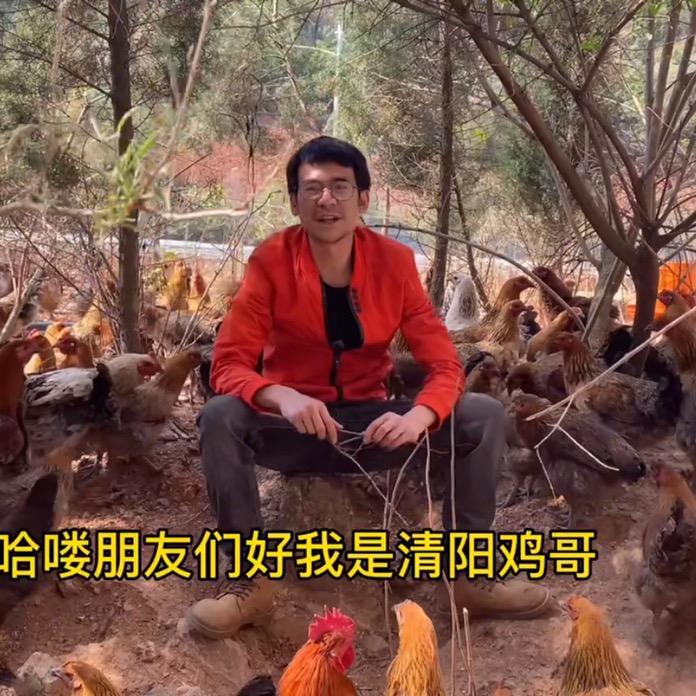 清阳鸡哥•低成本养鸡