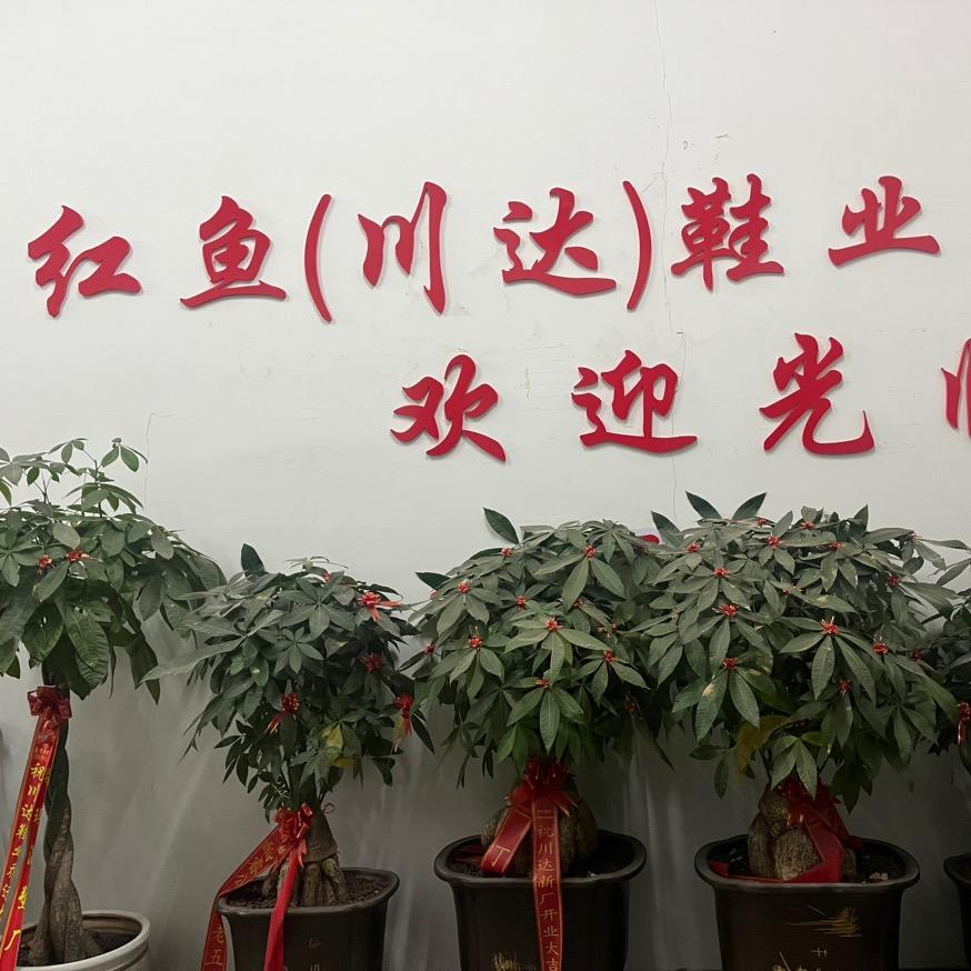 川达鞋业，