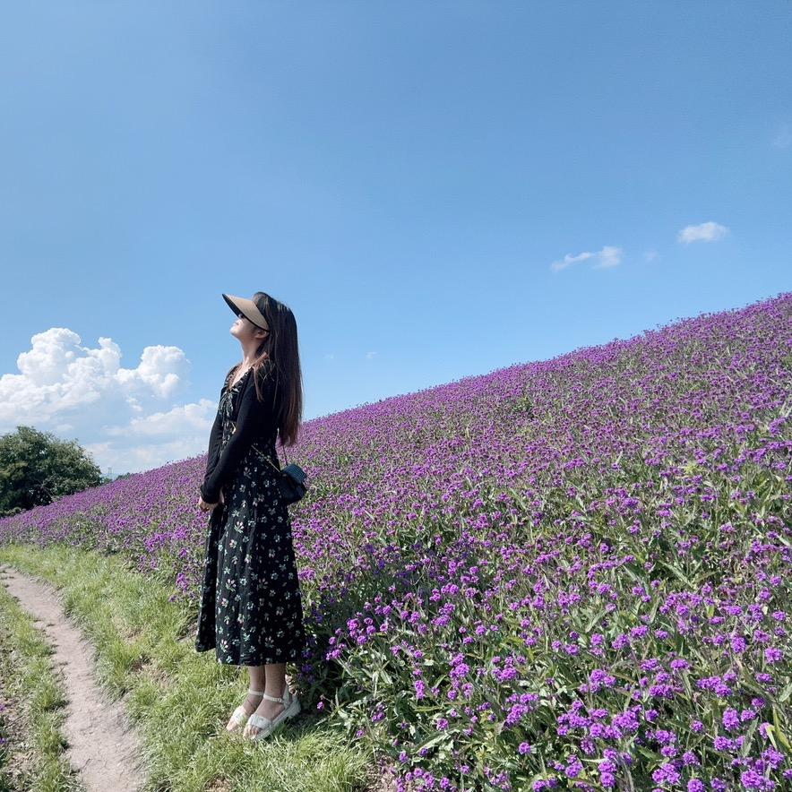 🌻