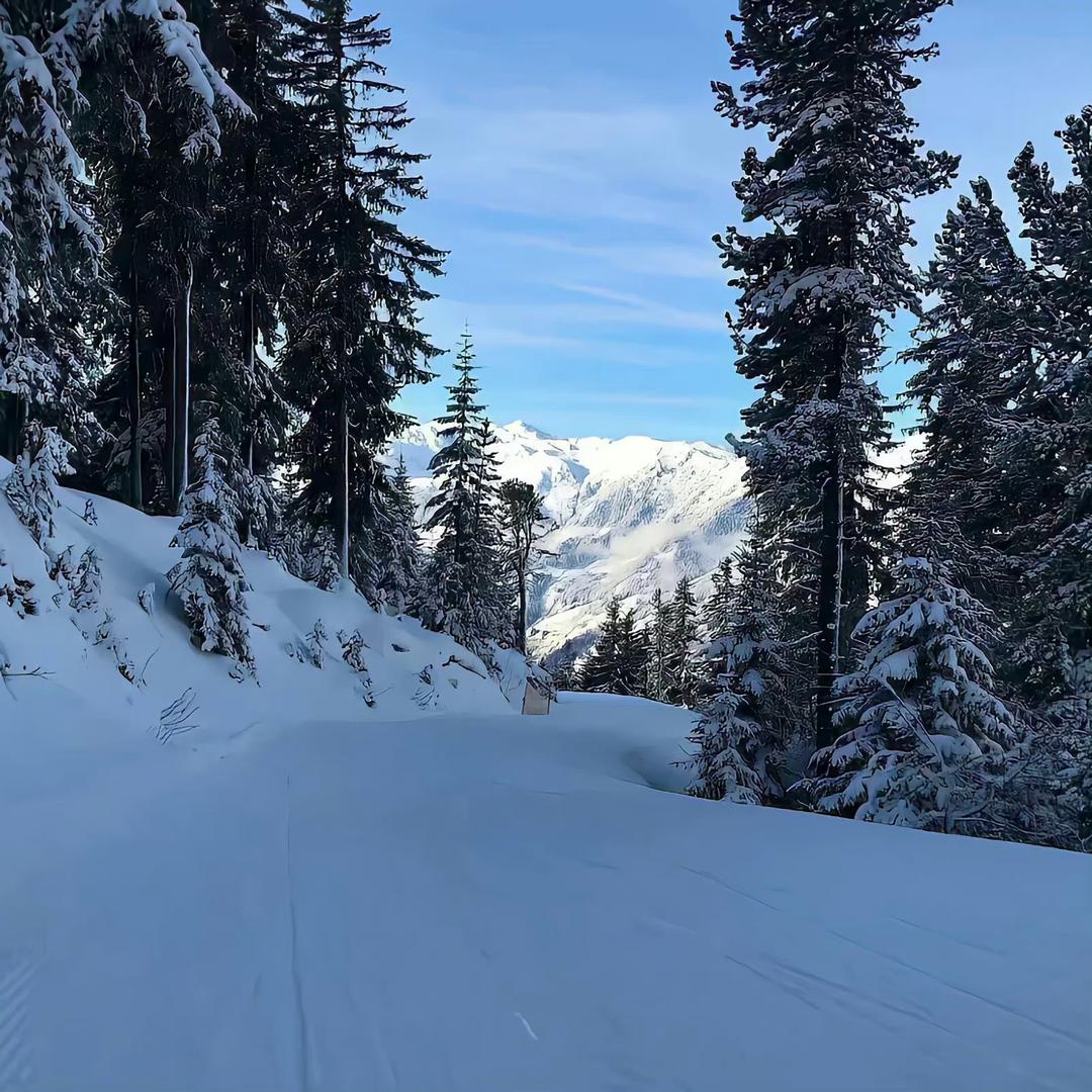 ⛄️❄️