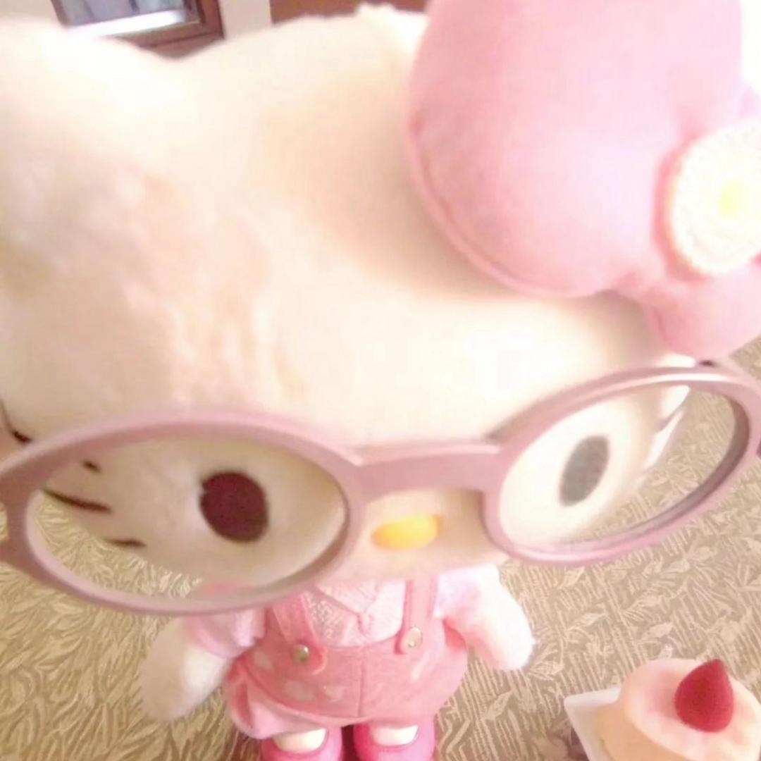 懒猪