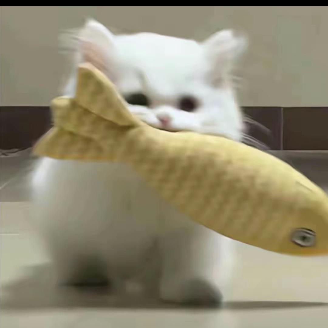 我是考拉公主