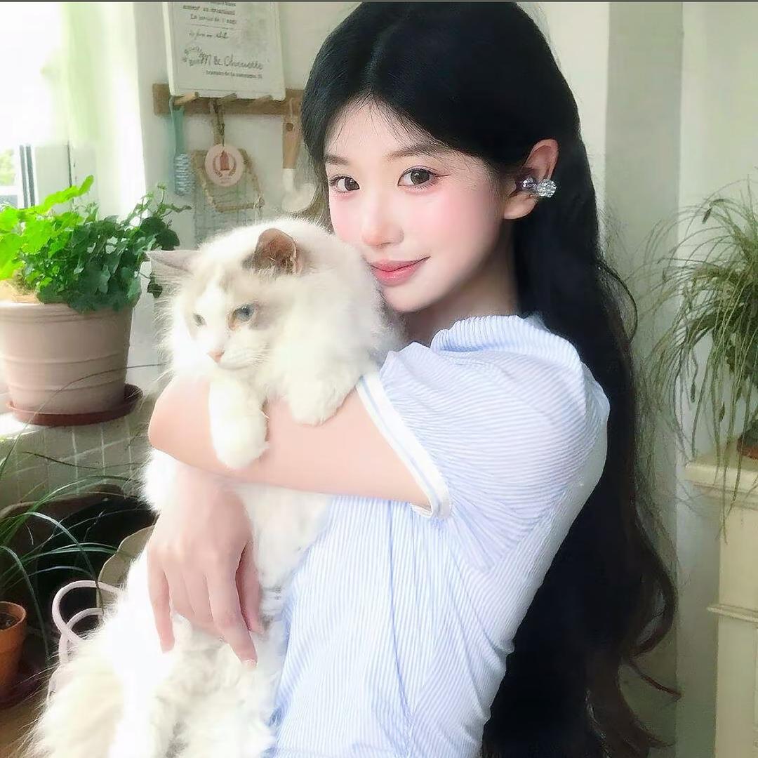 QQ星🌟