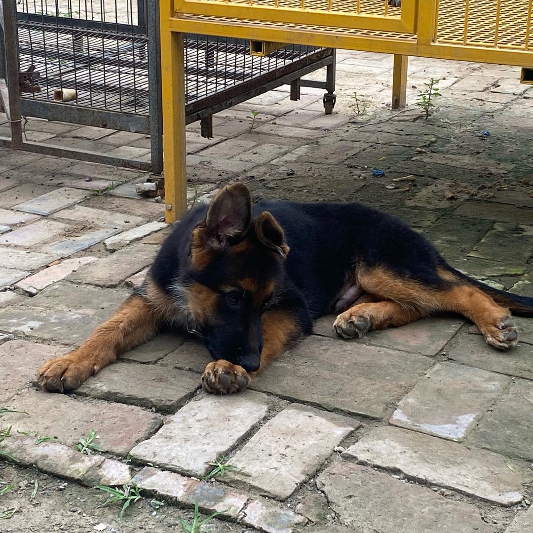 曾经沧海难为水