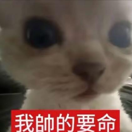 人类