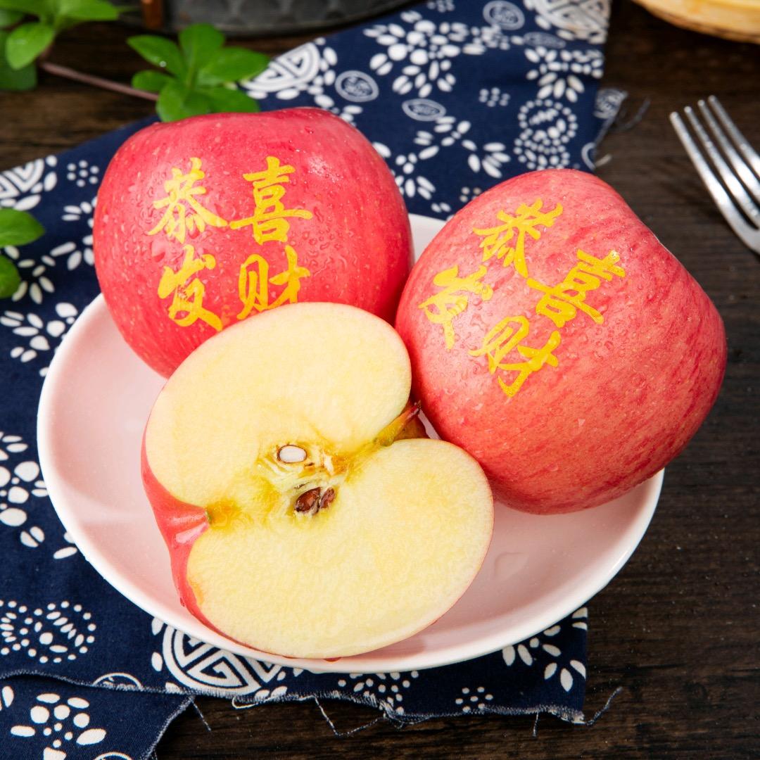 玩世不宫