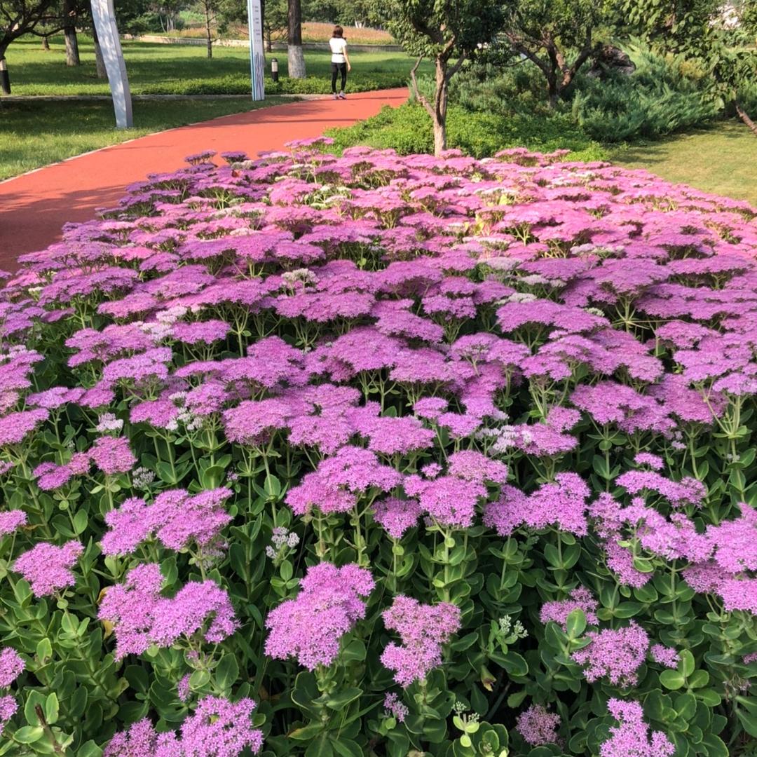 悦头像
