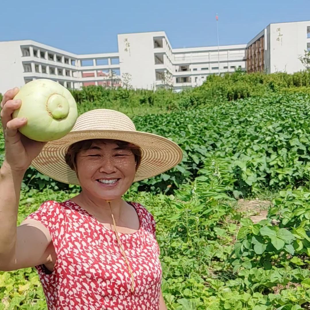 琴珍的田园生活