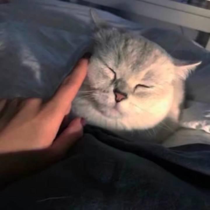讲不出再见
