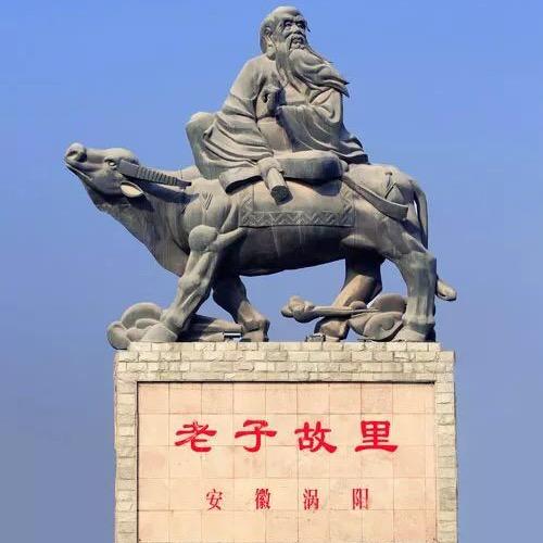 涡阳艳丽干扣面总店