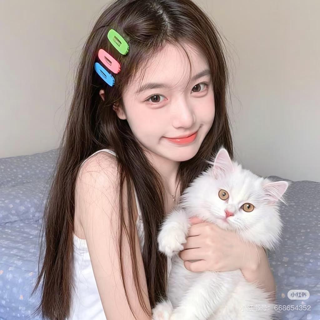 小甜豆（追星版）