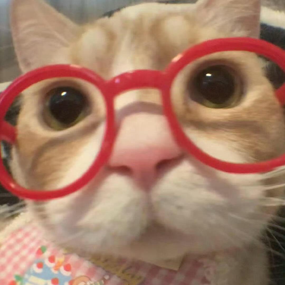 朝云月夜🎣ིྀ