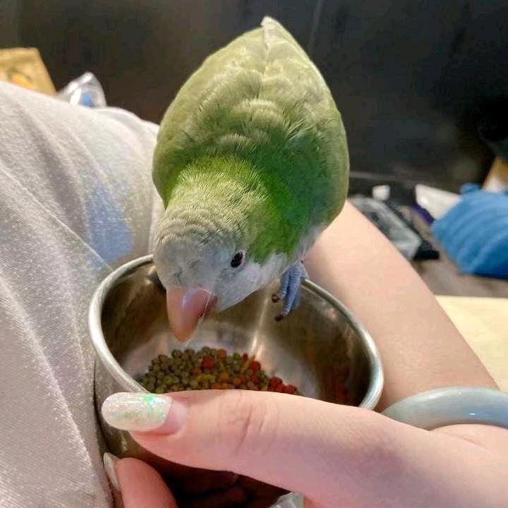 卖坤