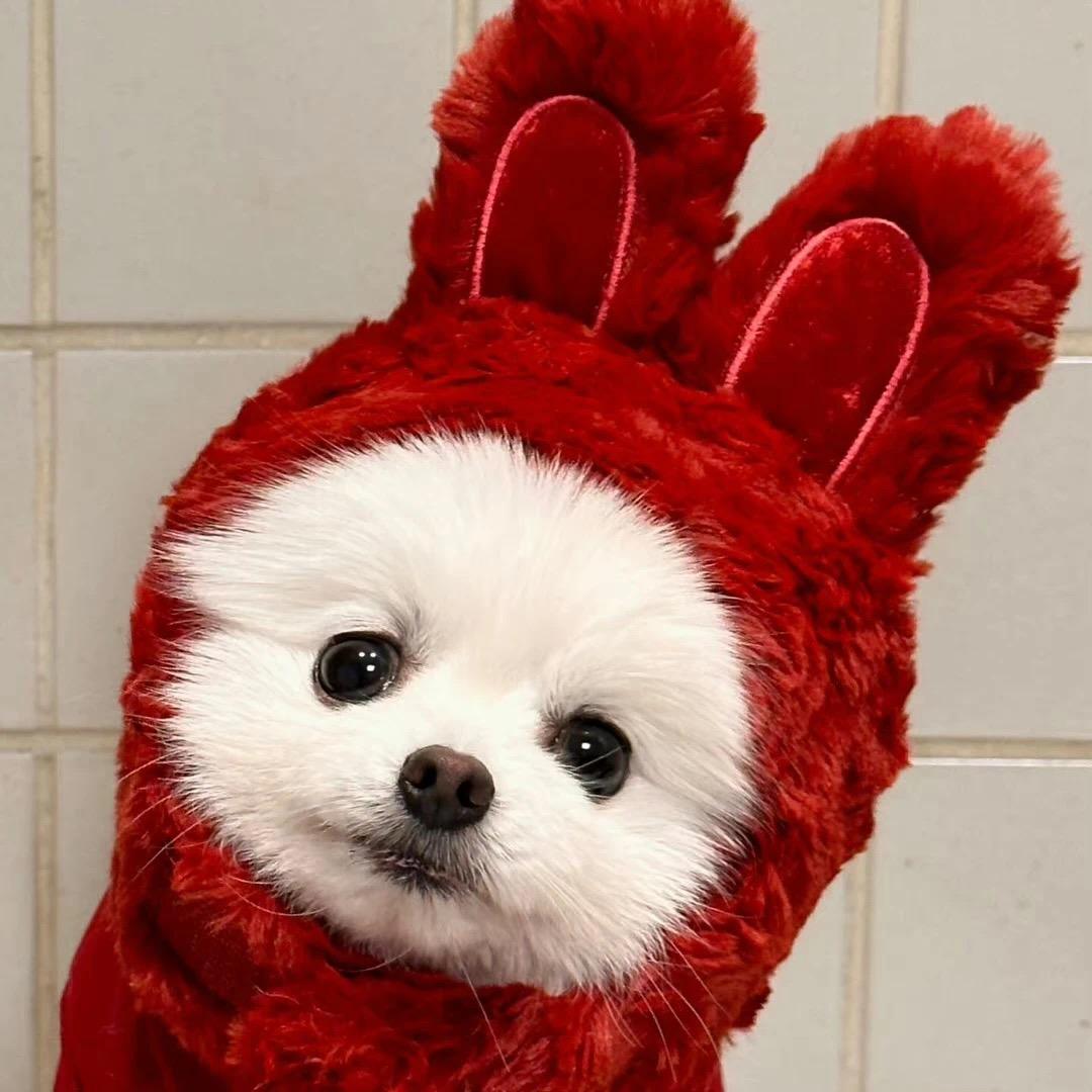 潮汕五妹（发财版）