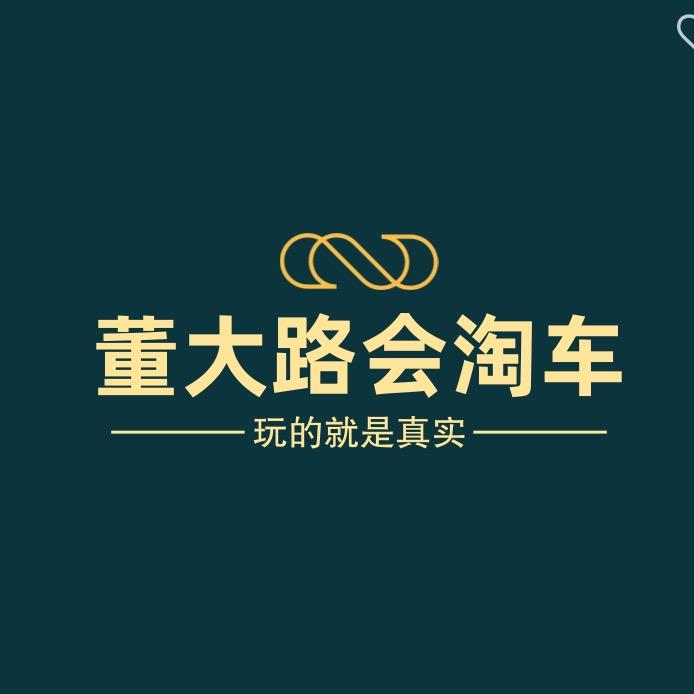 董大路会淘车