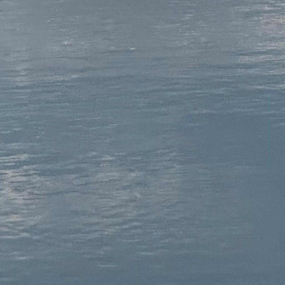 58423642hh