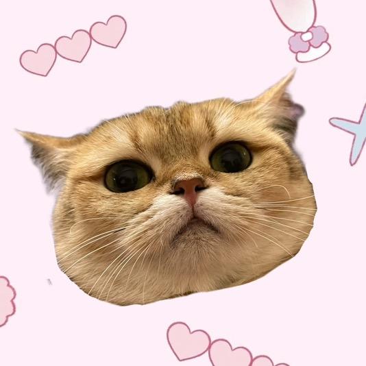 小金mm和短腿骑士(商务版)