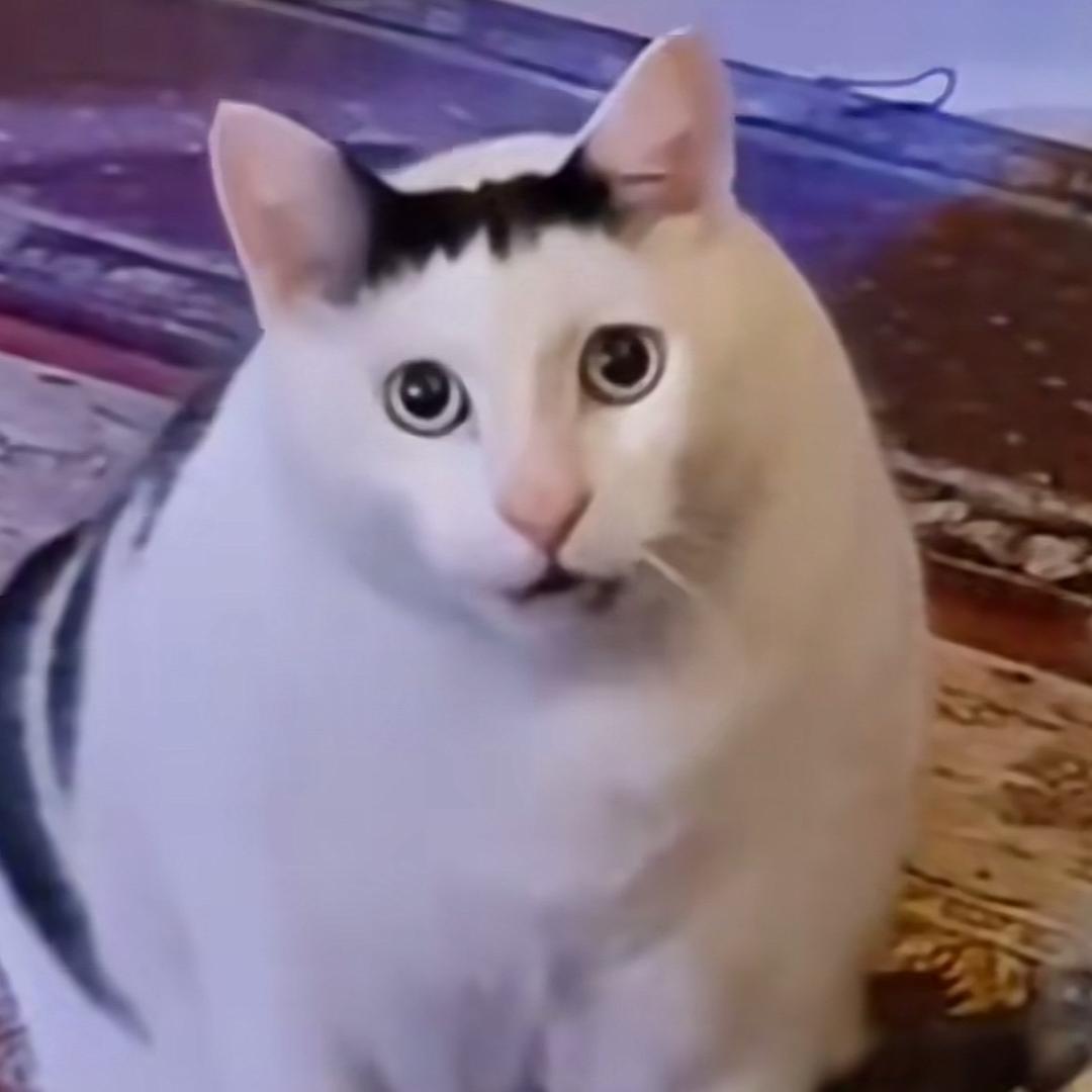 狡猾的农村人